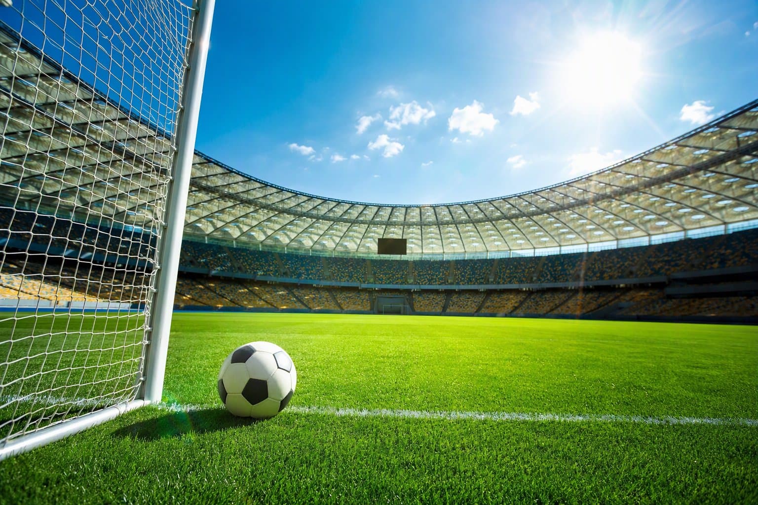 Soccer Victory - illustration, Jake Team LLC